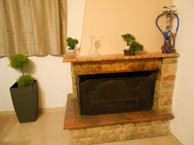 a fireplace with potted plants on top of it at Village House in Kalithies