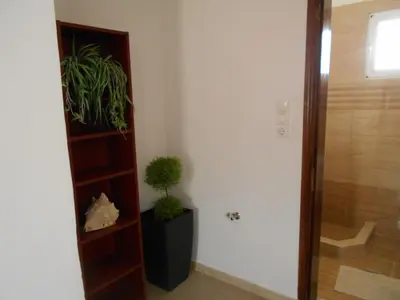 a hallway with a book shelf and a potted plant at Village House in Kalithies