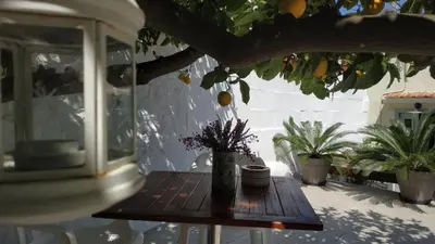 a wooden table with potted plants sitting under a tree at Yalitzi in Symi