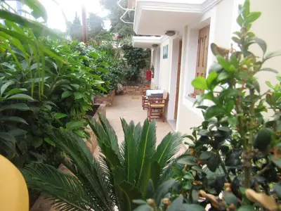 an indoor garden with plants and a table and chairs at Chryssa Rooms in Symi