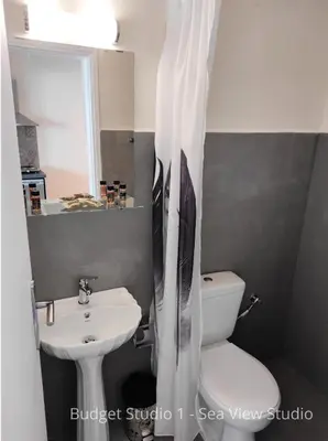 a bathroom with a sink and a toilet with a shower curtain at Budget Studios Haraki in Haraki