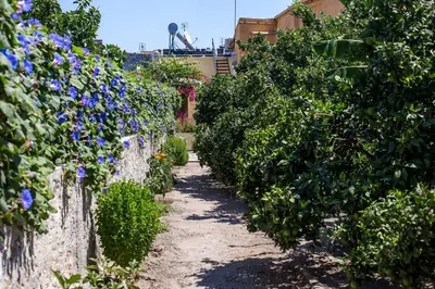 a path through a garden with purple flowers at La casa di Anna in Rhodes Town
