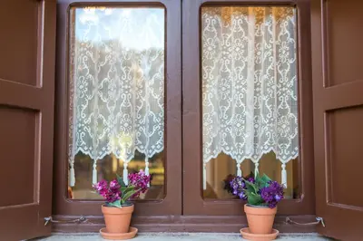two flowers in pots in front of a window at La casa di Anna in Rhodes Town