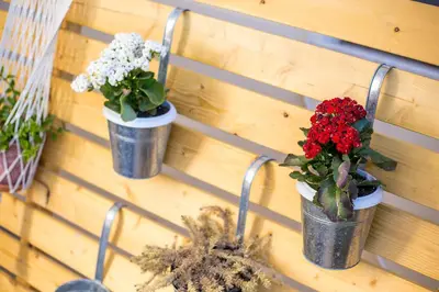 three potted plants are hanging on a wall at Apartment Ivy Kallithea in Rhodes Town