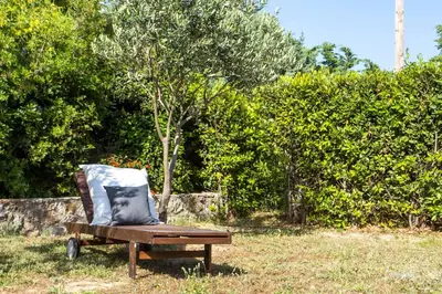 a chair sitting on a bench in a field at Apartment Ivy Kallithea in Rhodes Town
