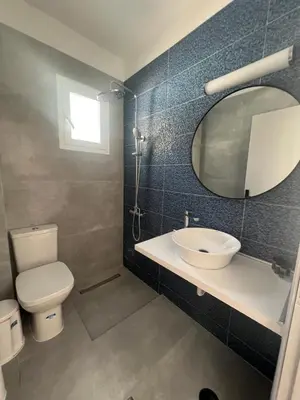a bathroom with a toilet and a sink and a mirror at Nikos studios in Livadia