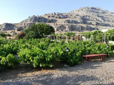 a picnic table in front of a bunch of plants at Marina Beach House in Lardos