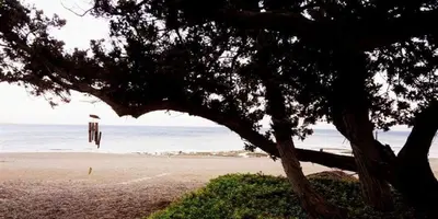 a kite hanging from a tree on the beach at Marina Beach House in Lardos
