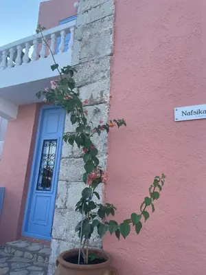 a plant in a pot in front of a pink building at Villa Hiona-Seafront Villa in Halki