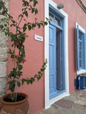 a plant in a pot in front of a building at Villa Hiona-Seafront Villa in Halki