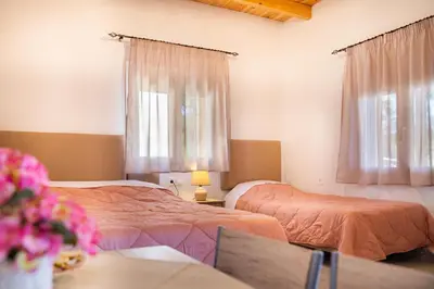 a bedroom with two beds and a table with flowers at Vista Mare in Archangelos