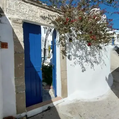 Clive and Bifi's house