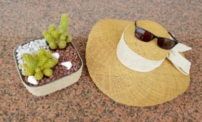 a person wearing a hat and sunglasses next to a potted plant at Rhodes Sunrise Maisonette in Koskinou