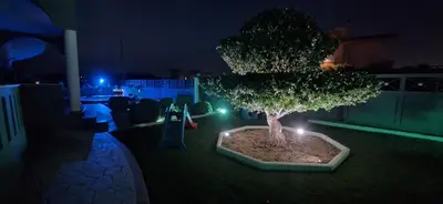 a lit up bonsai tree in a yard at night at Rhodian Villa in Kremasti
