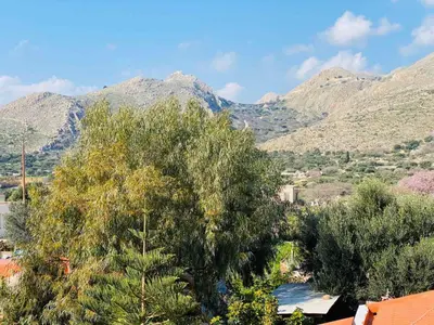 a tree with mountains in the background at Pontamos Villas in Halki
