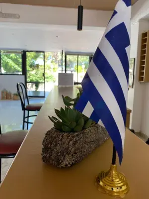 a flag sitting on top of a table with a plant at Ikaros Studios in Faliraki