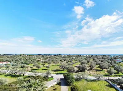 an aerial view of a park with trees and the ocean at Villa Olive Grove in Afantou