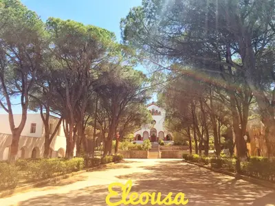 a driveway in front of a house with trees at Areti's Traditional house in Apóllona