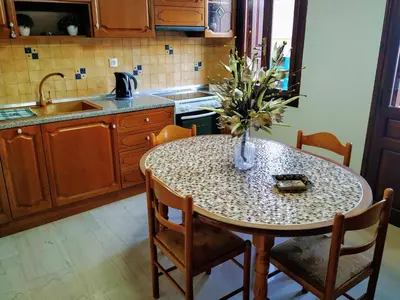 a kitchen with a table with a vase of flowers on it at Villa Elion in Symi