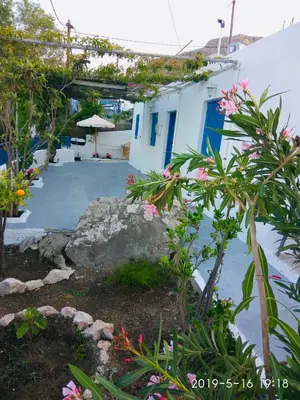 a view of a garden with flowers and a building at Stegna Breeze in Archangelos