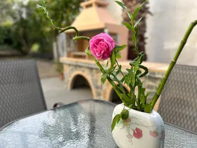 a pink rose in a vase on a table at Lina's Amazing House in Ialysos in Ixia