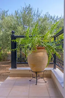 a plant in a pot sitting on a balcony at Lina's Amazing House in Ialysos in Ixia