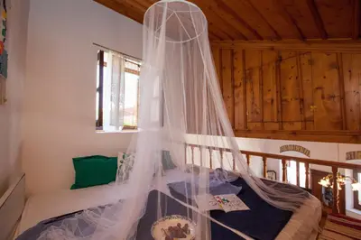 a bedroom with a bed with a mosquito net at Avra in Symi