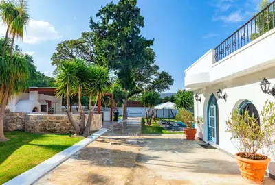 a courtyard with palm trees and a white house at Bella Foresta Villa II in Rhodes Town