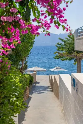 a pathway leading to the beach with pink flowers at Haraki Memories Beach Studios in Haraki