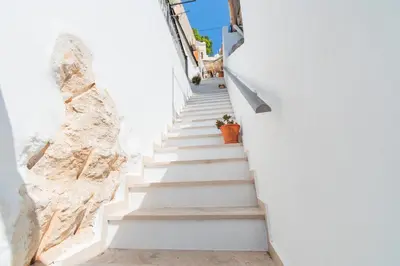a staircase in a white building with a potted plant at Villa Ioanna in Symi