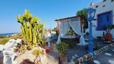a garden with cacti and a house with a curtain at Archontiko Stegna in Archangelos