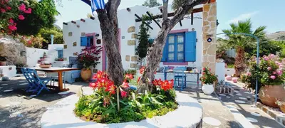 a house with a tree in a garden with flowers at Archontiko Stegna in Archangelos
