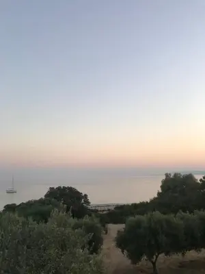 a view of the ocean from a hill with trees at Tesoro Del Mare in Pefki Rhodes