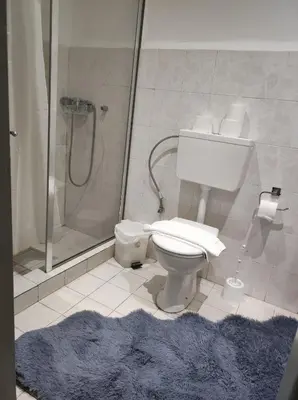 a bathroom with a shower and a toilet and a rug at N E P center Hotel Rodos in Rhodes Town