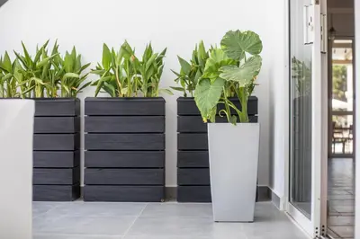 a row of black planters with plants in them at Vickys Faliraki in Faliraki