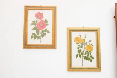 two framed pictures of flowers on a wall at IN Lindos in Líndos