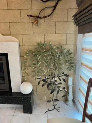 a plant in a room next to a brick wall at Luxury Villa Ioannis in Líndos