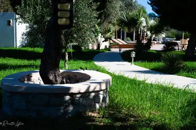 a tree in a stone planter next to a sidewalk at Evita in Faliraki