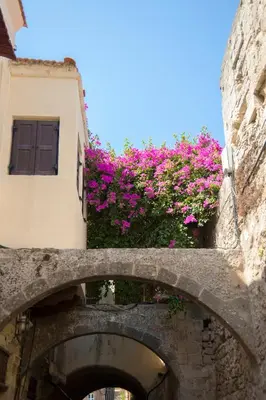 an archway with pink flowers on a building at Stavros Pension in Rhodes Town