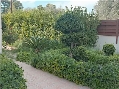 a garden with bushes and a brick walkway at Lucia's Secret Garden in Asgourou