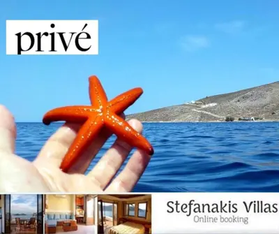 a person holding a starfish in their hand next to the ocean at Stefanakis Villas - Car Included in Livadia