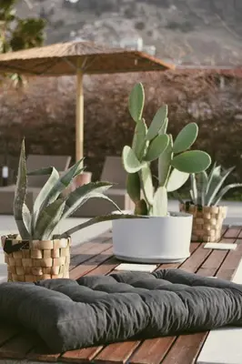 two potted plants on a wooden table with an umbrella at LA Casa Di Lusso N4 - Adults Only in Kolimbia