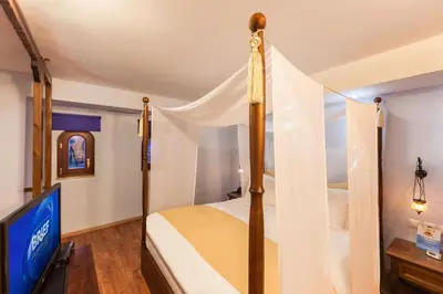 a bedroom with a canopy bed and a tv at In Camera Art Boutique Hotel in Rhodes Town