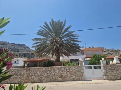 a palm tree behind a stone wall with a fence at Stergios summer dream house in Kolimbia