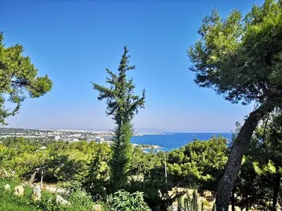 a pine tree on a hill with the ocean in the background at Louis Luxury Villa by living in blue in Rhodes Town