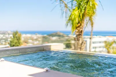 a swimming pool with a palm tree and the ocean at Venezia Luxury Living Villas, Faliraki in Faliraki