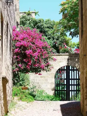 a gate with a bush with pink flowers at Medieval Inn in Rhodes Town