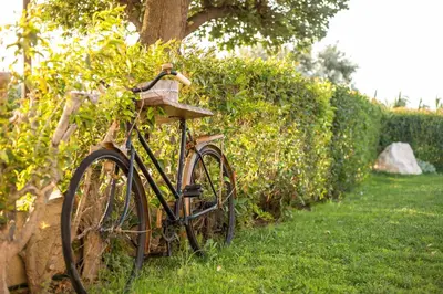 a bike parked in the grass next to a hedge at Old Nest House in Sálakos