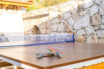 a ping pong table with a ping paddle on it at Old Nest House in Sálakos