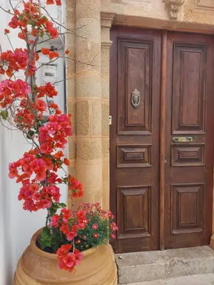 a vase with red flowers in front of a door at Villa Lindia in Líndos